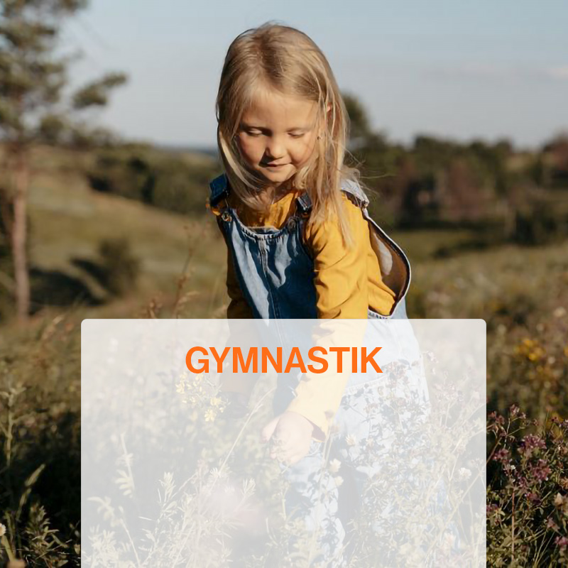 SE-Frontpage-box-image-gymnastik-SE